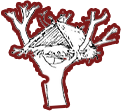 原始巢居：南方的干栏式建筑